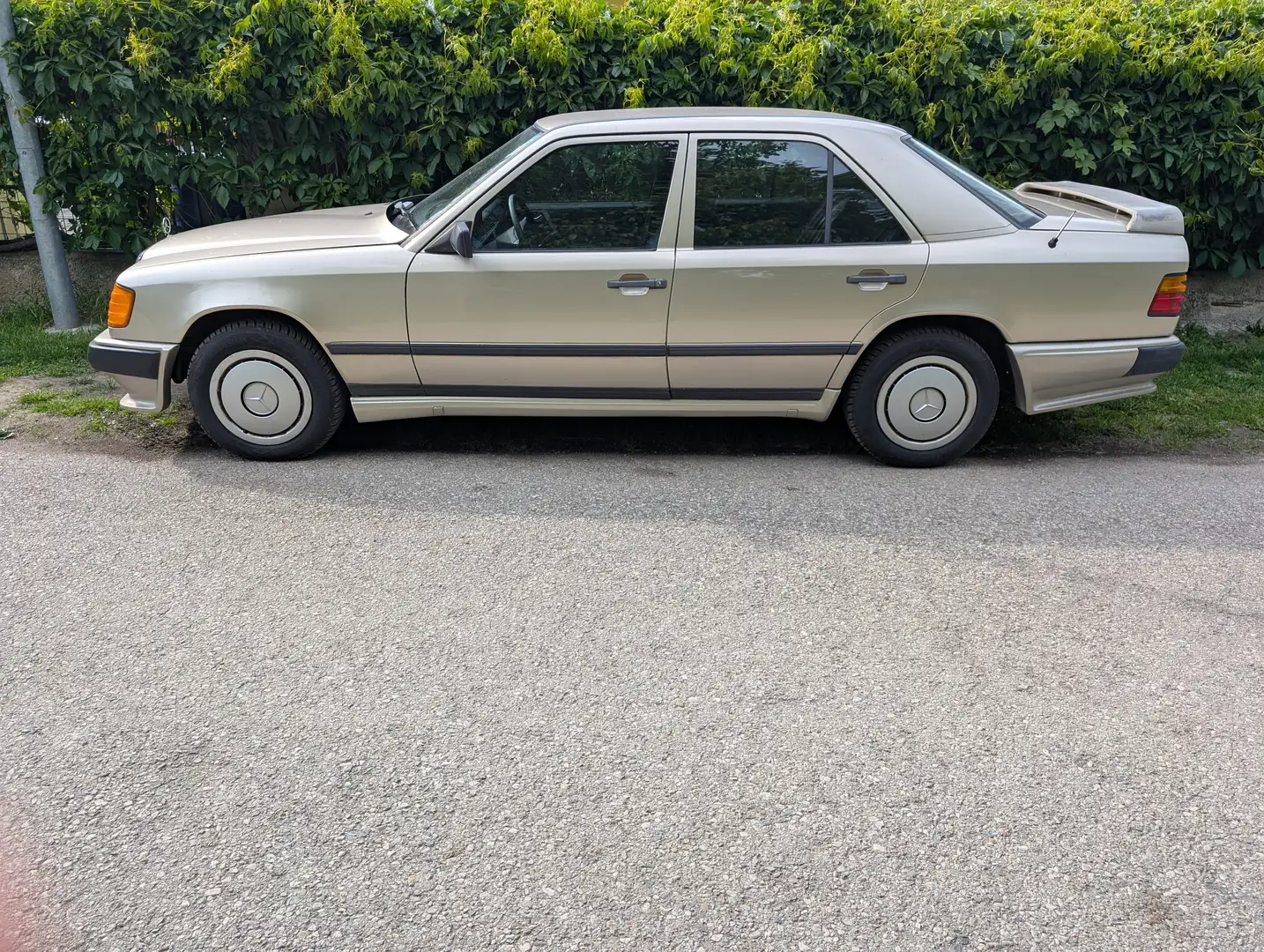 Mercedes-Benz E 260 Gold - 1