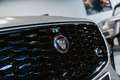 Jaguar F-Pace SVR 5.0 P550 V8 NL-auto, Pan.dak, Meridian soundsy Grau - thumbnail 20