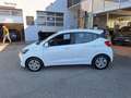 Hyundai i10 1,0 chic Weiß - thumbnail 3