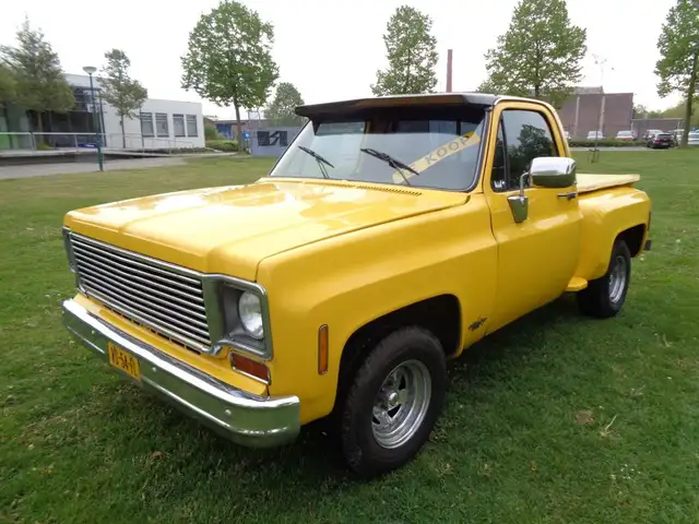 Chevrolet Silverado chevrolet c 10 a p k vrij belasting vrij