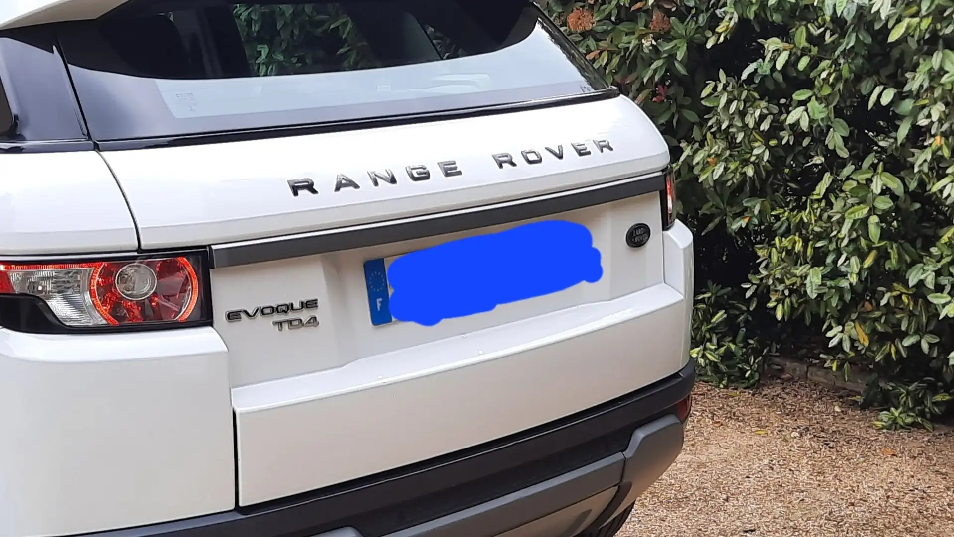 Land Rover Range Rover Evoque Range Rover Evoque TD4 Pure Blanc - 1