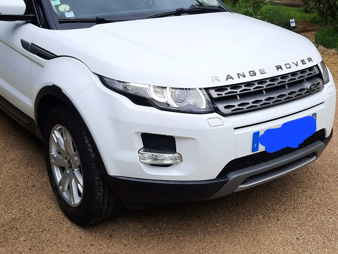 Land Rover Range Rover Evoque Range Rover Evoque TD4 Pure Blanc - 2