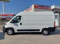 Citroen Jumper Fg. 2.0BlueHDi 33 L2H2 130 Blanco - thumbnail 4