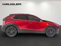 Mazda CX-30 Homura 2.0 Automatik CarPlay Navi ACC LED Kamera Roşu - thumbnail 3
