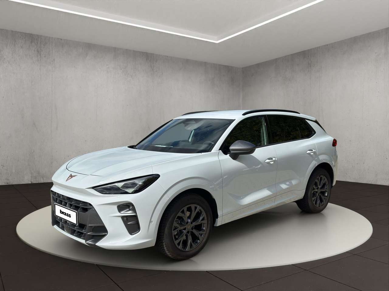 Cupra Terramar — Cupra Terramar 1.5 eTSI Allwetterreifen, Sennheiser, H