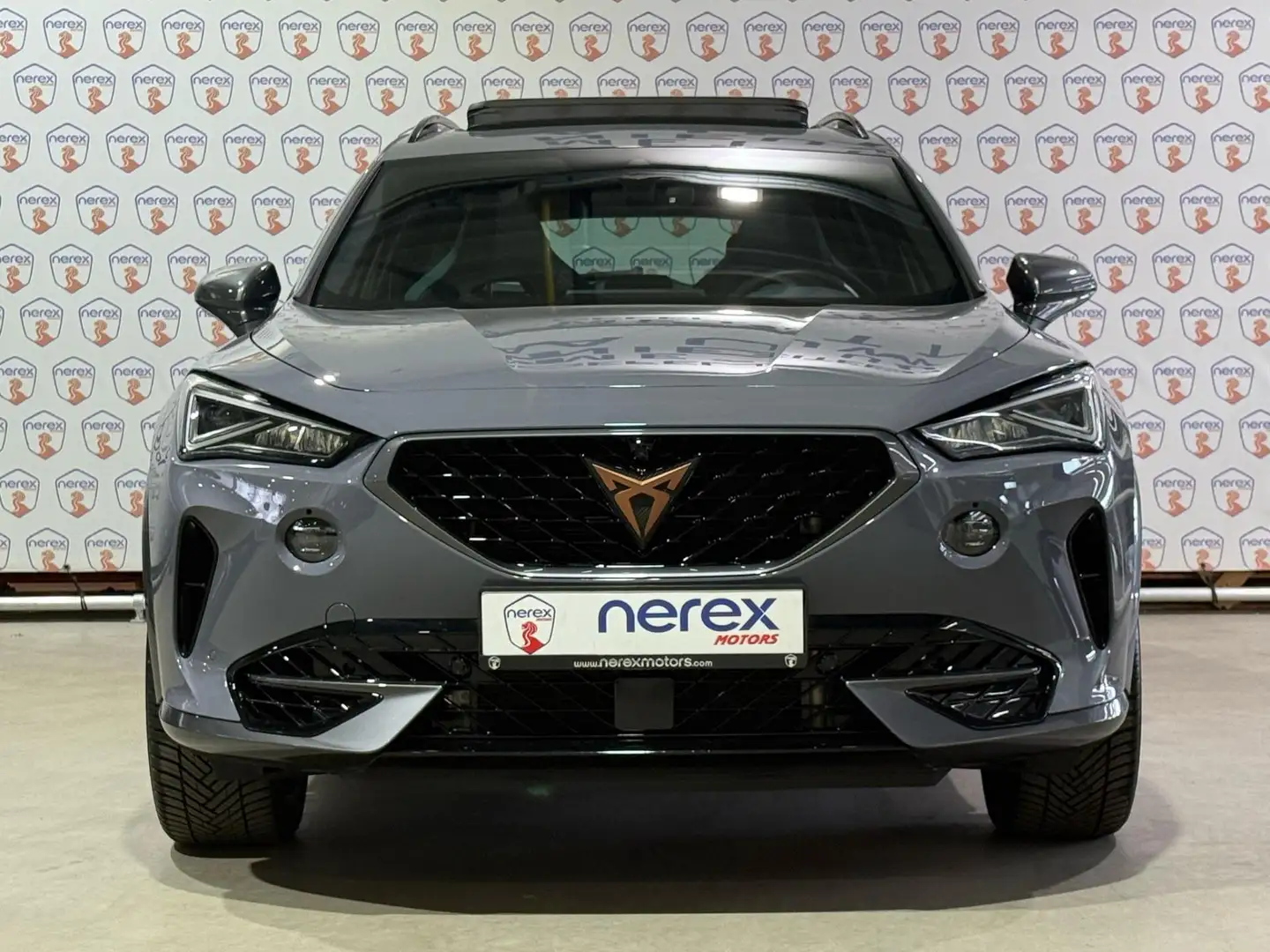 CUPRA Formentor VZ 2.0 TSI 4DRIVE | Pano | Beats | Memory Gris - 2