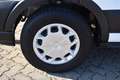 Ford TRANSIT 350 L3H3 2.0 ECOBLUE 130PS TREND Winter Te Blanc - thumbnail 11