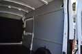 Ford TRANSIT 350 L3H3 2.0 ECOBLUE 130PS TREND Winter Te Blanc - thumbnail 9