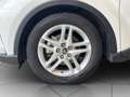 Toyota C-HR 1.8h Business e-CVT Bianco - thumbnail 5