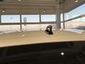 Renault Arkana TECHNO 140 EDC ABS Fahrerairbag Wit - thumbnail 19