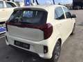 Kia Picanto 1.0 12V 5 porte Urban Bianco - thumbnail 2