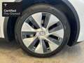 Tesla Model Y Rear-Wheel Drive "Certified Pre-Owned" Blanc - thumbnail 11