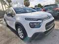 Citroen C3 C3 BlueHDi 100 S&S Feel Bianco - thumbnail 4