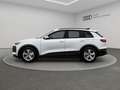 Audi Q6 Matrix  Memory B&O HuD 360° 19" Weiß - thumbnail 4