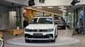 Volkswagen Tiguan 1,5 TSI R-Line OPF 1-Hand DSG *Pano*Kamera*20Zoll* Weiß - thumbnail 7