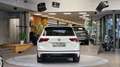 Volkswagen Tiguan 1,5 TSI R-Line OPF 1-Hand DSG *Pano*Kamera*20Zoll* Weiß - thumbnail 14