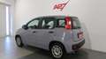 Fiat Panda Panda 1.0 FireFly S&S Hybrid Gris - thumbnail 17