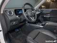 Mercedes-Benz GLB 250 GLB 250 4M Progressive Multibeam/Pano/AHK/360° Bílá - thumbnail 12
