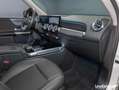 Mercedes-Benz GLB 250 GLB 250 4M Progressive Multibeam/Pano/AHK/360° Blanco - thumbnail 19