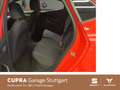 SEAT Ibiza Style 1.0 TSI 70 kW Rot - thumbnail 8