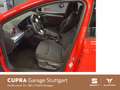 SEAT Ibiza Style 1.0 TSI 70 kW Rot - thumbnail 6