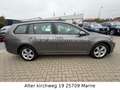 Volkswagen Golf VII Variant Comfortline BlueMotion TGI NAVI Grau - thumbnail 4