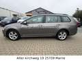 Volkswagen Golf VII Variant Comfortline BlueMotion TGI NAVI Grau - thumbnail 8