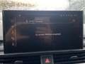 Audi A4 Avant 35 TDI Str. S line AHK KAM LED NAVI 18" Nero - thumbnail 15
