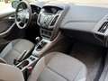 Ford Focus 1,6TDCi 85kW KLIMA Gris - thumbnail 9