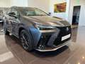 Lexus NX 450h+ F-Sport Line Grau - thumbnail 2