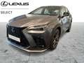 Lexus NX 450h+ F-Sport Line Grau - thumbnail 1