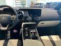 Lexus NX 450h+ F-Sport Line Grau - thumbnail 8