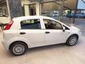 Fiat Punto 1.2 8V 5 porte Lounge Bianco - thumbnail 8