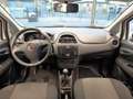 Fiat Punto 1.2 8V 5 porte Lounge Bianco - thumbnail 9