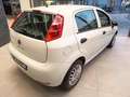 Fiat Punto 1.2 8V 5 porte Lounge Bianco - thumbnail 12
