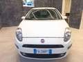 Fiat Punto 1.2 8V 5 porte Lounge Bianco - thumbnail 1