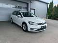 Volkswagen Golf Variant Golf Variant Comfortline 1,6 TDI FRONT ASSIST/PARK Blanc - thumbnail 12
