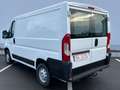 Peugeot Boxer Kasten 330 L1H1 Pro Avantage Edition *AHK* Weiß - thumbnail 8