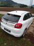 Suzuki Baleno Baleno 1.2 DJ Clear Clear Weiß - thumbnail 5