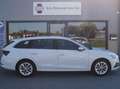 Skoda Octavia First Edition Blanc - thumbnail 3