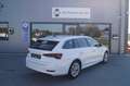 Skoda Octavia First Edition Blanc - thumbnail 4