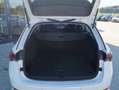 Skoda Octavia First Edition Blanc - thumbnail 6