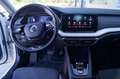 Skoda Octavia First Edition Blanc - thumbnail 10