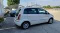Lancia MUSA Musa 1.4 8V Ecochic (GPL) Gold Beige - thumbnail 5