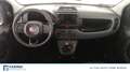 Fiat Panda 1.0 FireFly Hybrid Bianco - thumbnail 11