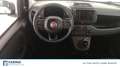 Fiat Panda 1.0 FireFly Hybrid Bianco - thumbnail 12