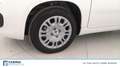 Fiat Panda 1.0 FireFly Hybrid Bianco - thumbnail 9