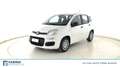 Fiat Panda 1.0 FireFly Hybrid Bianco - thumbnail 1