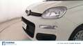 Fiat Panda 1.0 FireFly Hybrid Bianco - thumbnail 8