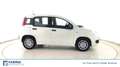Fiat Panda 1.0 FireFly Hybrid Bianco - thumbnail 3